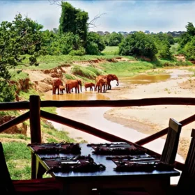 Explorea LLC Custom Itinerary - Kenya Safari