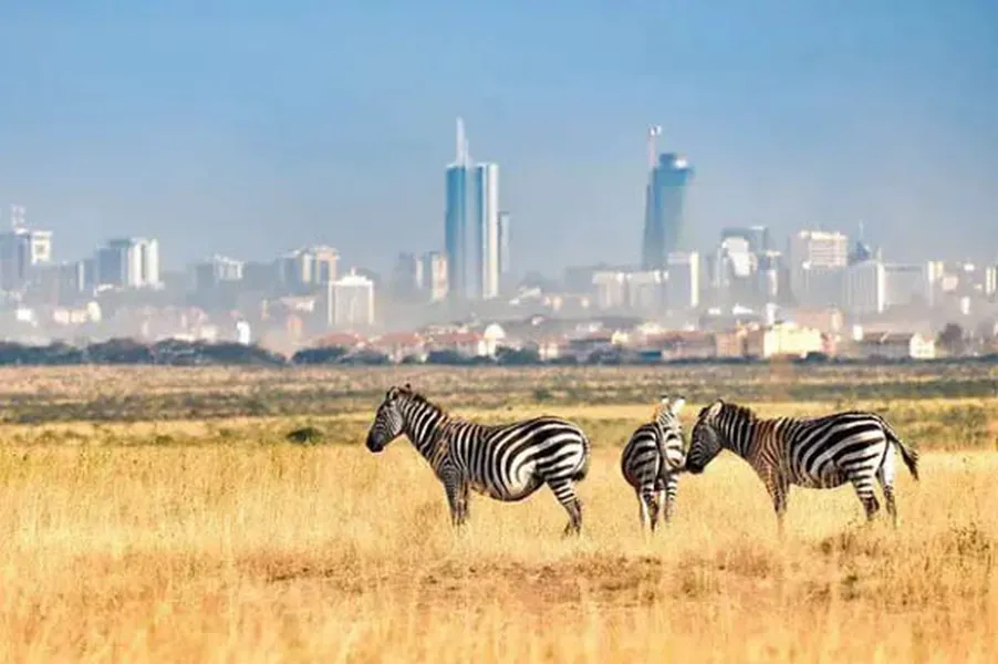 Explorea LLC Custom Itinerary - Kenya Safari