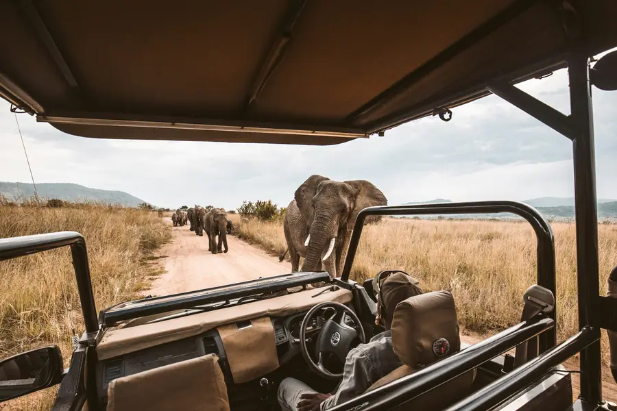 Explorea LLC Custom Itinerary - Kenya Safari