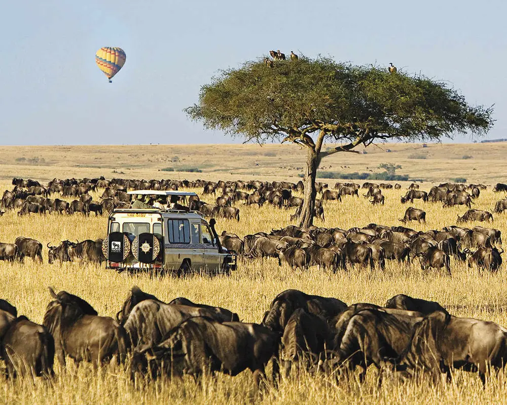 Explorea LLC Custom Itinerary - Kenya Safari