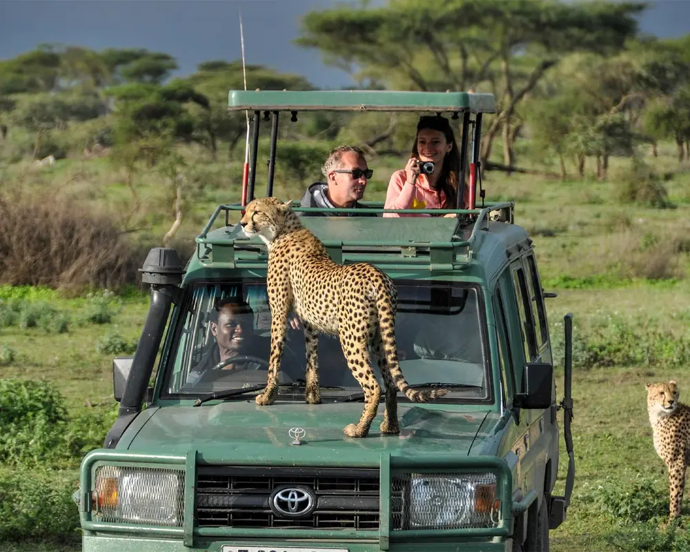 Explorea LLC Custom Itinerary - Kenya Safari