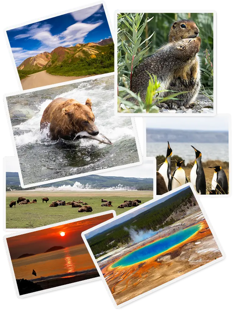 Explorea LLC Custom Itinerary - Collage